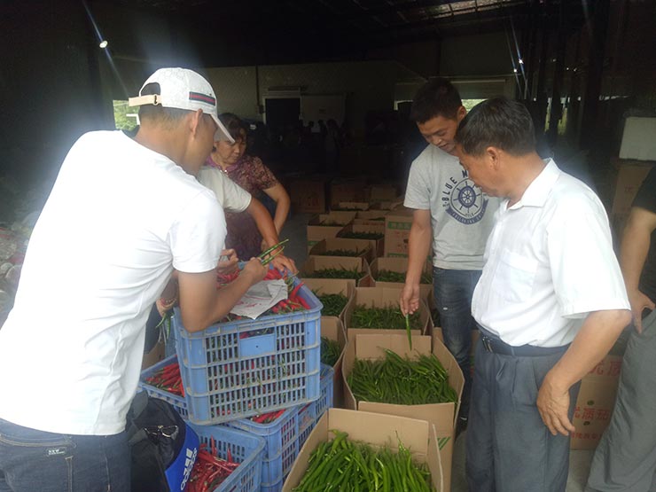 ���ݿ���(���Ρ�ku��)�ٷ���վ