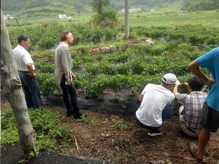 ���ݿ���(���Ρ�ku��)�ٷ���վ