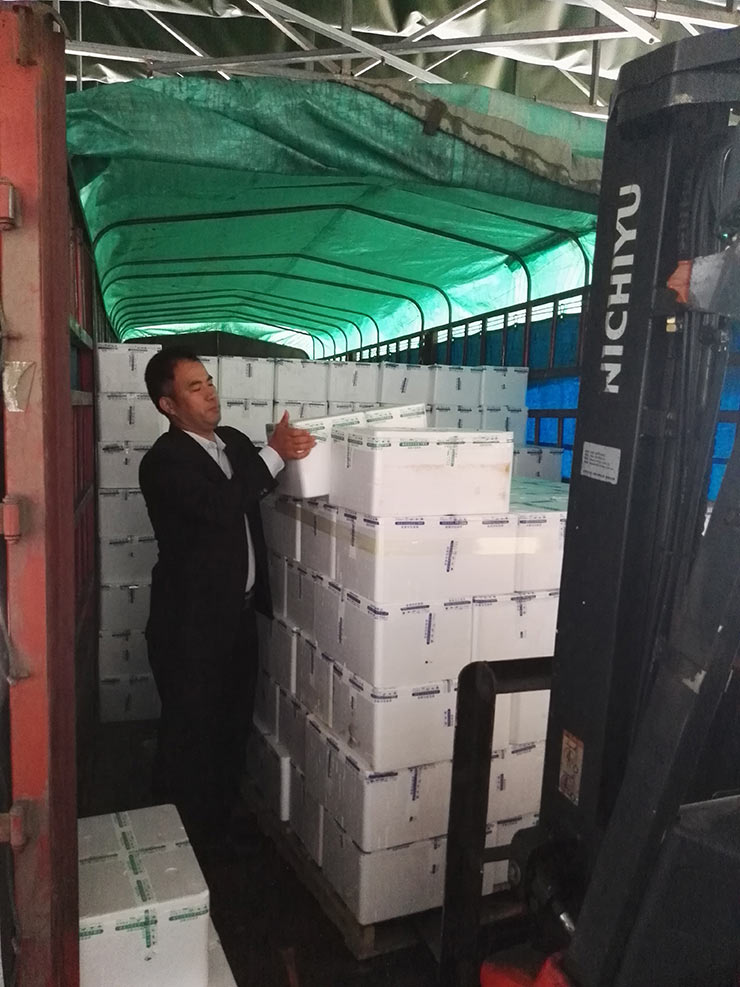 ���ݿ���(���Ρ�ku��)�ٷ���վ