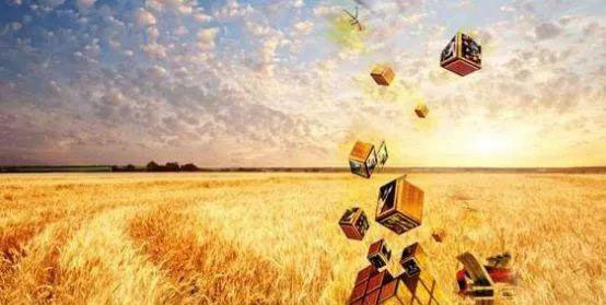 ���ݿ���(���Ρ�ku��)�ٷ���վ