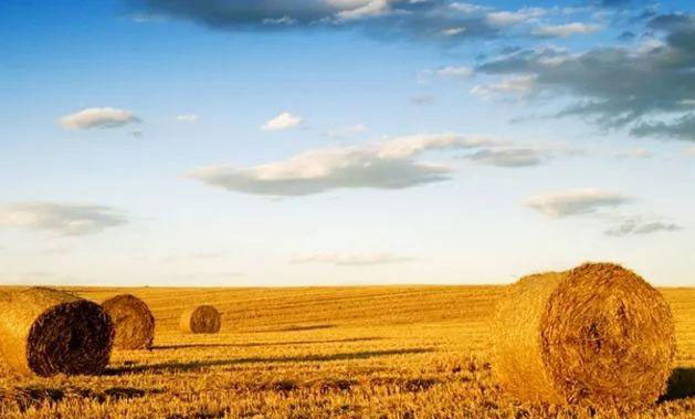 ���ݿ���(���Ρ�ku��)�ٷ���վ