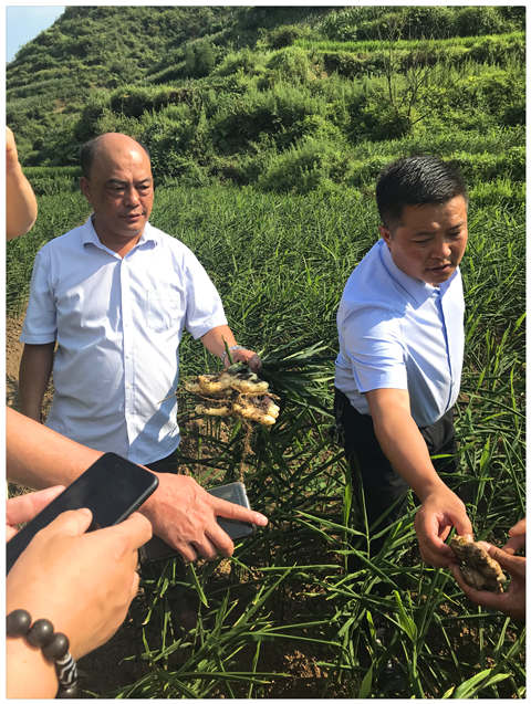 ���ݿ���(���Ρ�ku��)�ٷ���վ