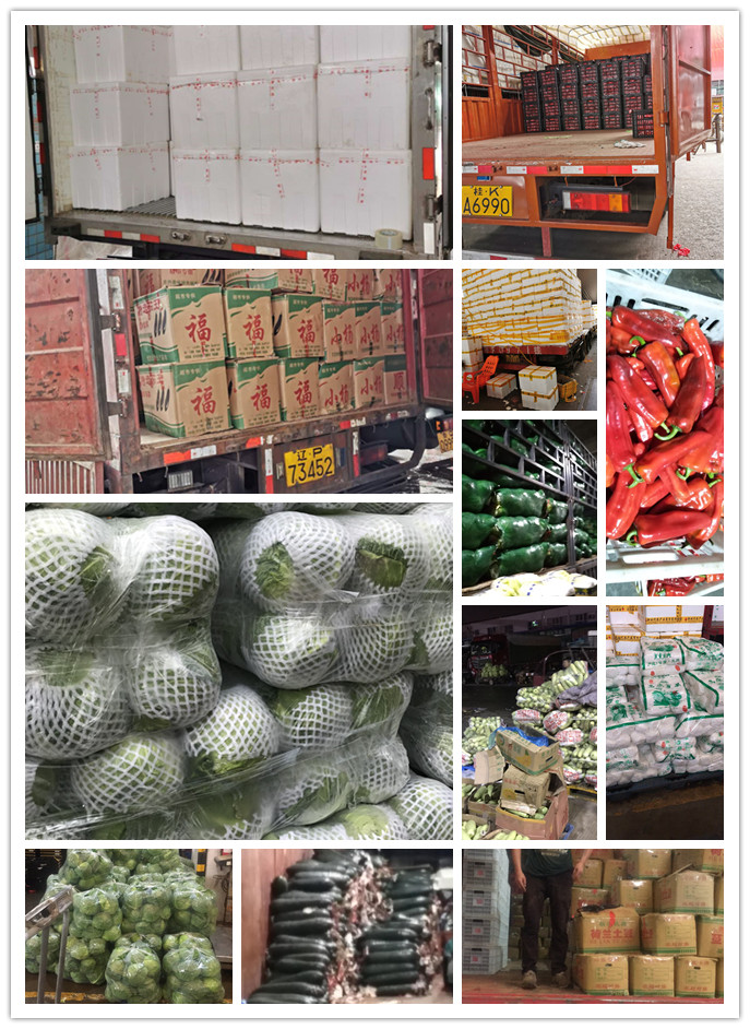 ���ݿ���(���Ρ�ku��)�ٷ���վ