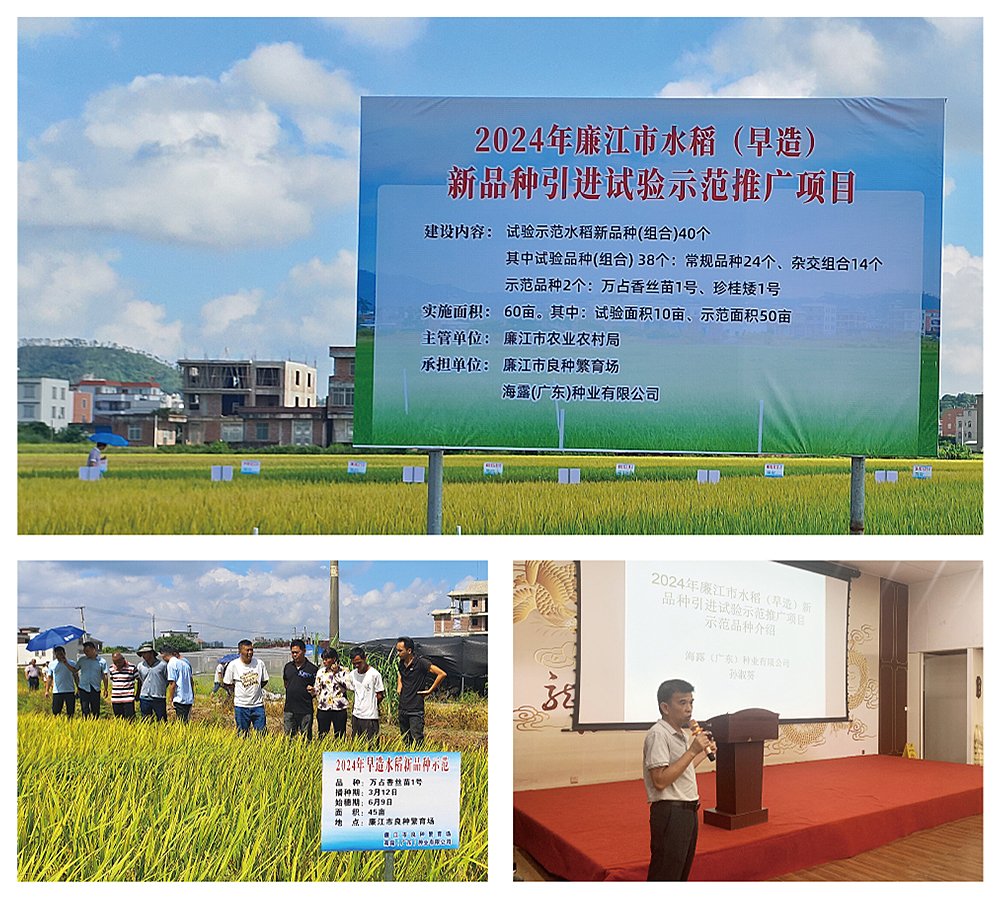 1-240FP92223126 九州酷游(酷游·ku游)官方网站