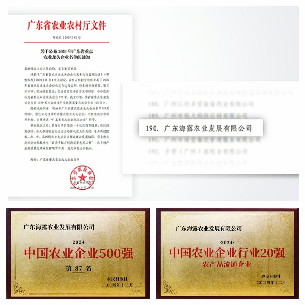 1-2506051411103H 九州酷游(酷游·ku游)官方网站