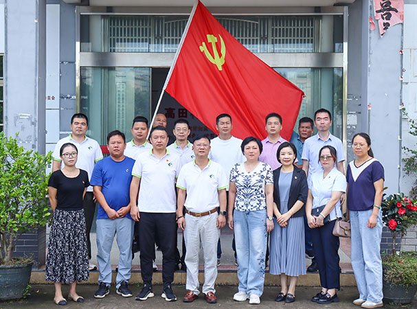 ���ŵ�֧����֯���ӻ�����ƽ�����巢չ������������